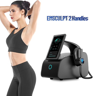 Ems Sculpting Machine Mesin  Portable 4 Gagang
