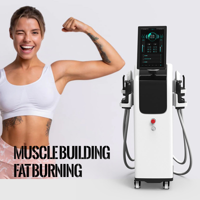 Ce Certified Ems Sculpting Machine  Beauty Muscle Instrument Automatic Professional