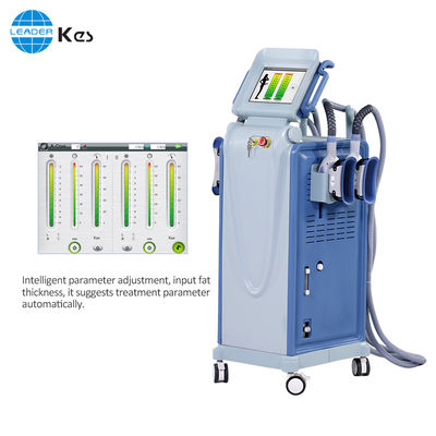 Mesin Cryolipolysis RF Cryolipolysis Vacuum Slimming Device